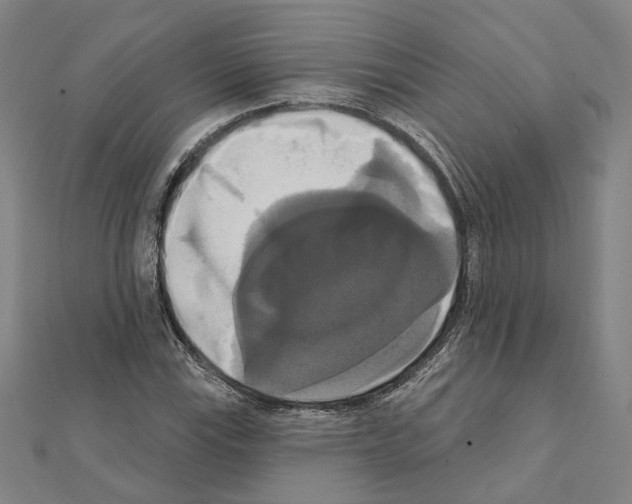 X0000111441115200908241138