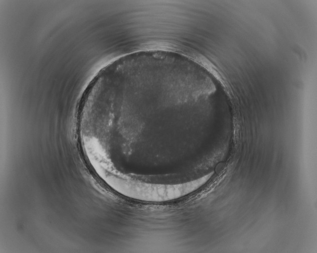 X0000111441116200908241138