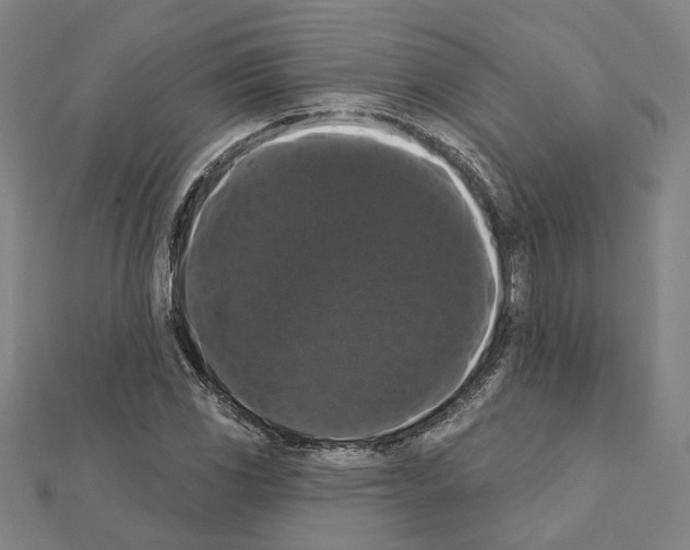 X0000111441117200908241138