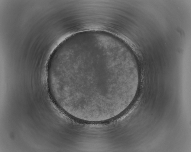 X0000111441118200908241138