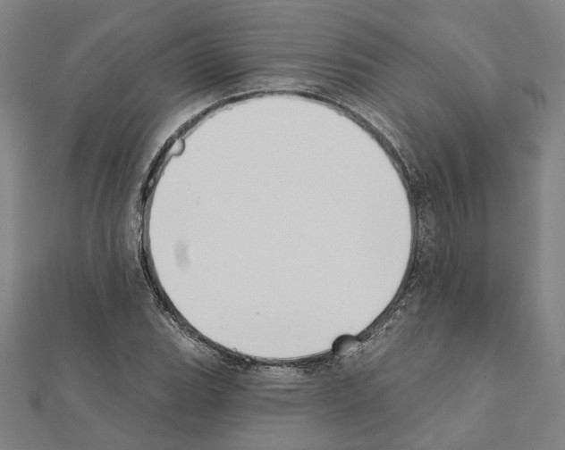 X0000111441119200908241138