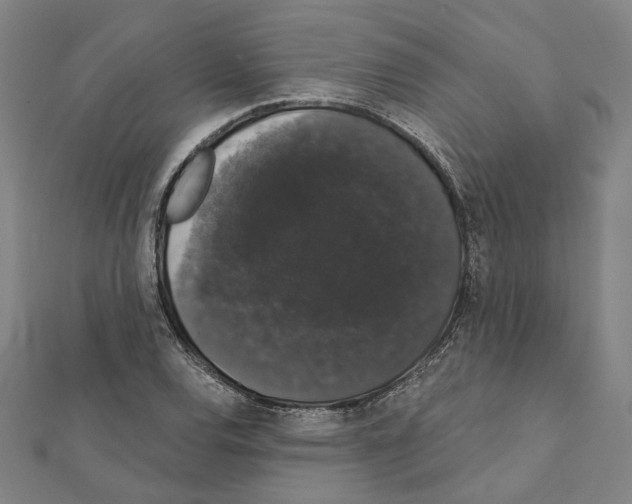 X0000111441120200908241138