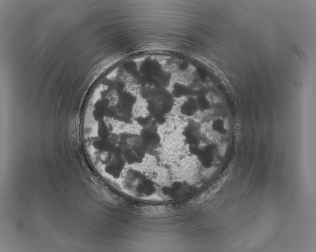 X0000111441121200908241138