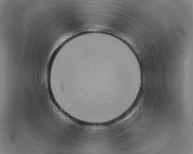 X0000111441122200908241138