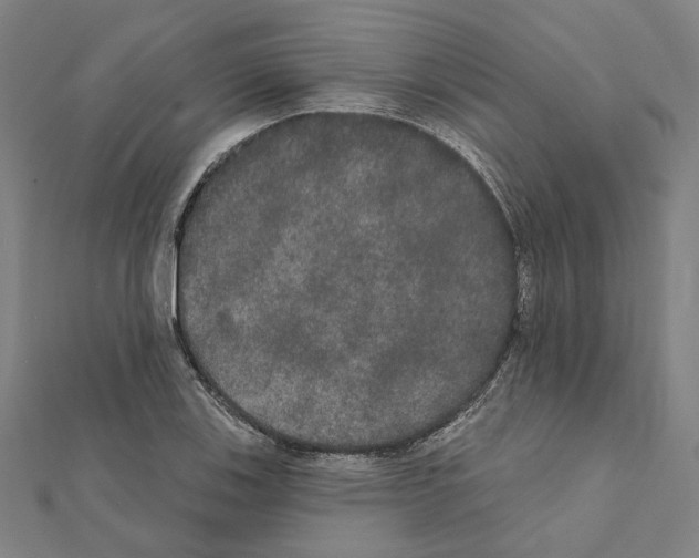 X0000111441123200908241138