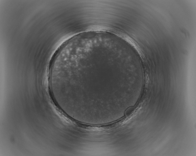 X0000111441124200908241138