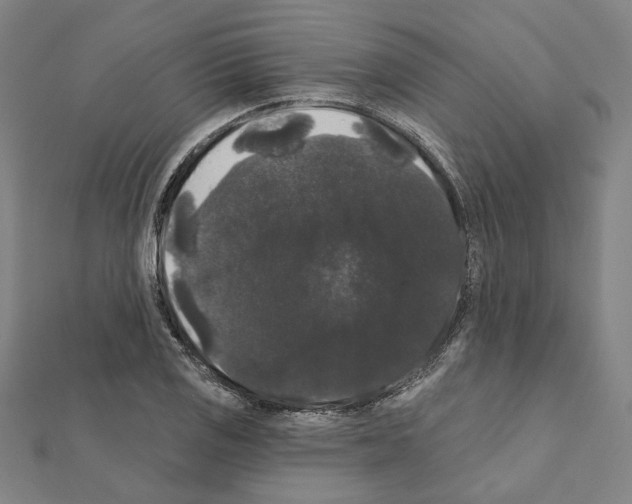 X0000111441125200908241138