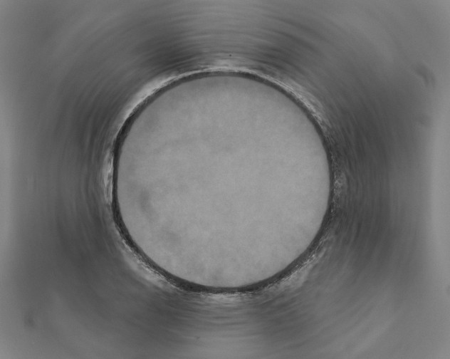 X0000111441126200908241138