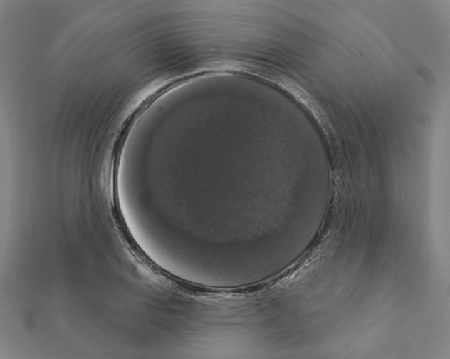 X0000111441127200908241138