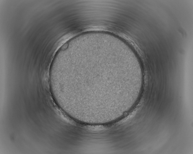 X0000111441129200908241138
