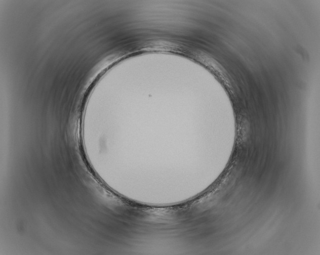 X0000111441130200908241138
