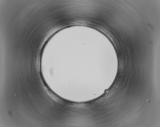 X0000111441131200908241138
