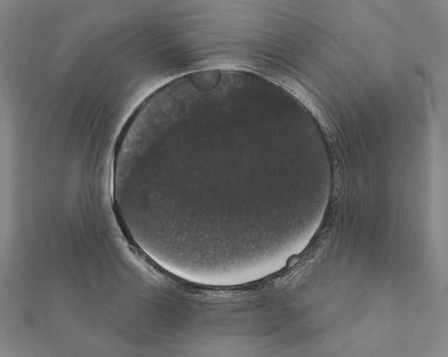 X0000111441132200908241138