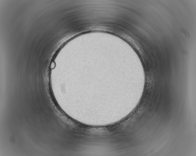 X0000111441133200908241138