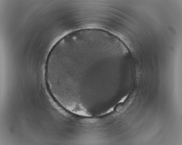 X0000111441134200908241138