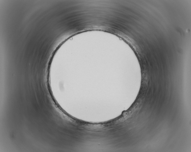 X0000111441135200908241138