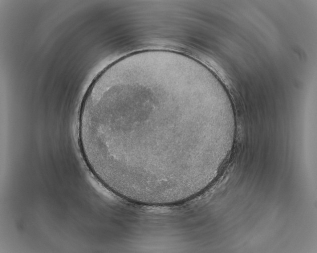 X0000111441136200908241138