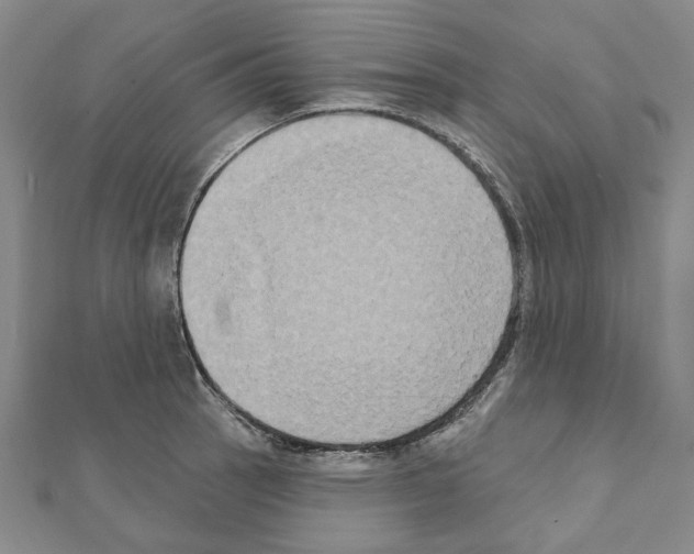 X0000111441137200908241138