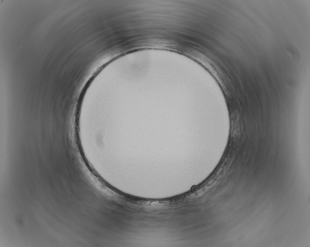 X0000111441139200908241138