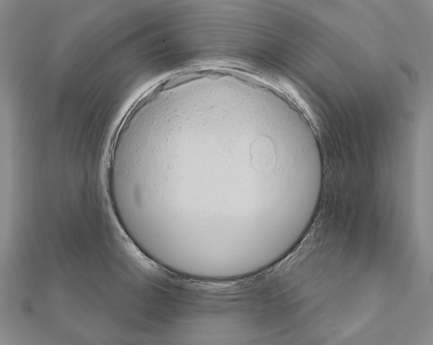 X0000111441140200908241138