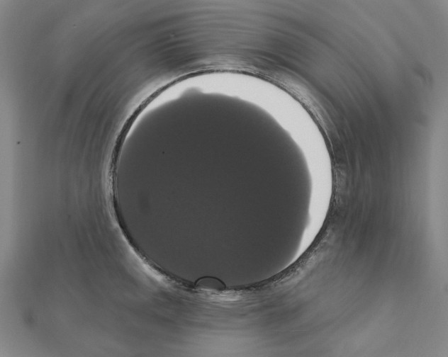 X0000111441141200908241138