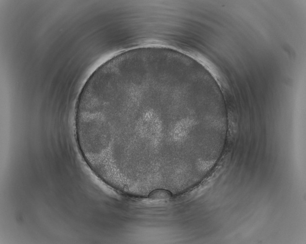 X0000111441142200908241138