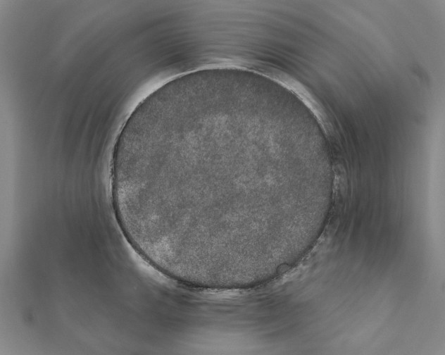 X0000111441143200908241138