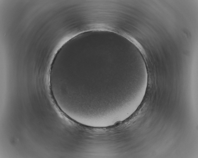 X0000111441144200908241138