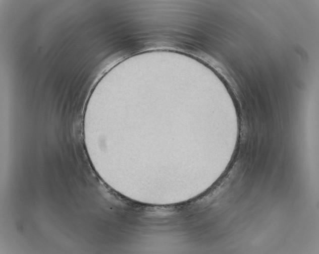 X0000111441145200908241138