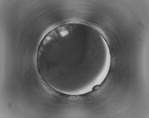 X0000111441146200908241138