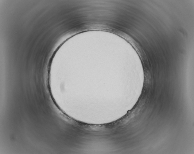 X0000111441147200908241138