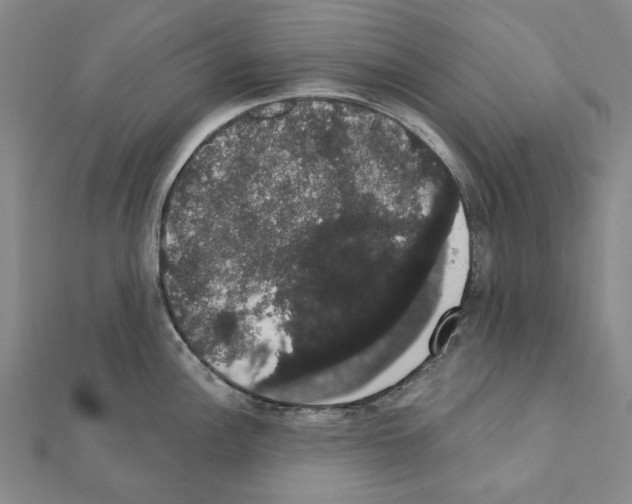 X0000111441148200908241138