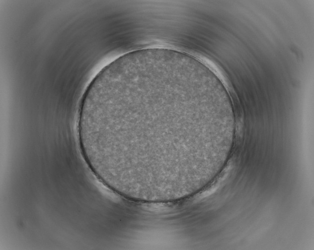 X0000111441149200908241138