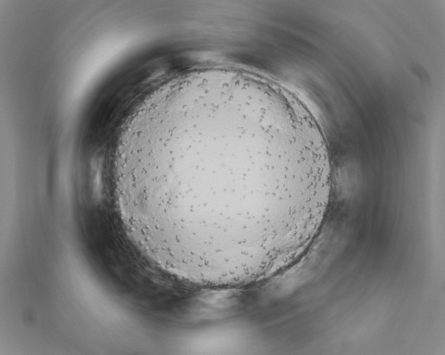X0000111441150200908241138