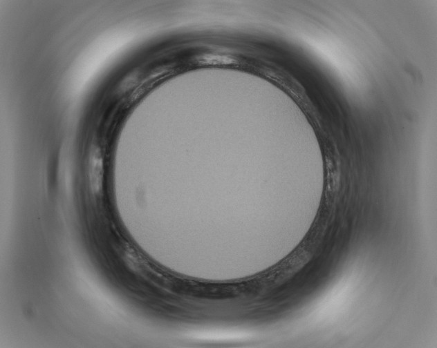 X0000111441151200908241138
