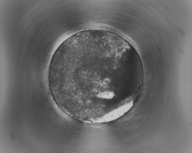 X0000111441152200908241138