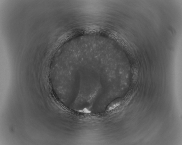 X0000111441153200908241137