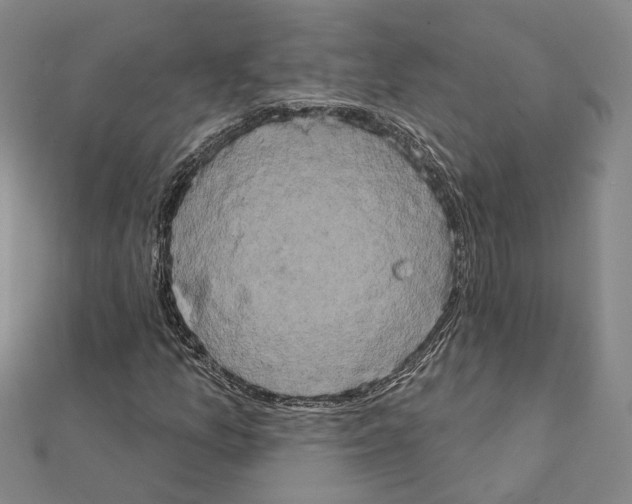 X0000111441157200908241137