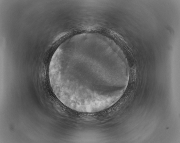 X0000111441158200908241137