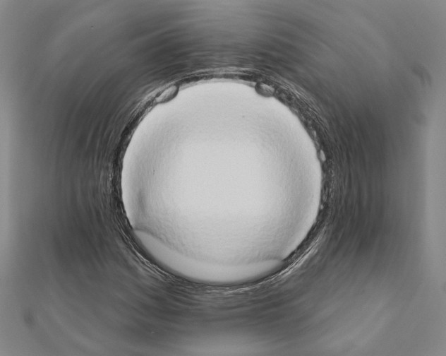 X0000111441161200908241137