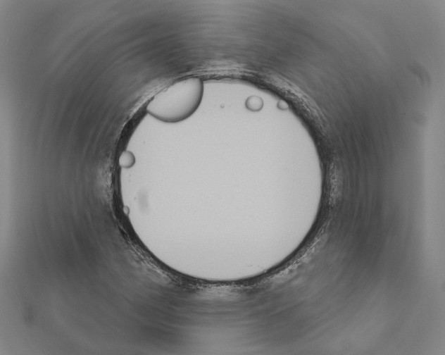 X0000111441162200908241137