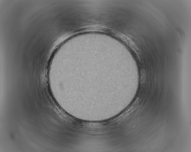 X0000111441164200908241137