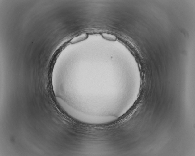 X0000111441165200908241137