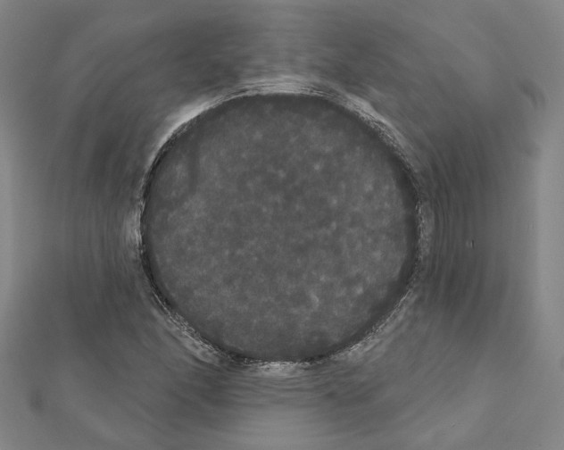 X0000111441166200908241137