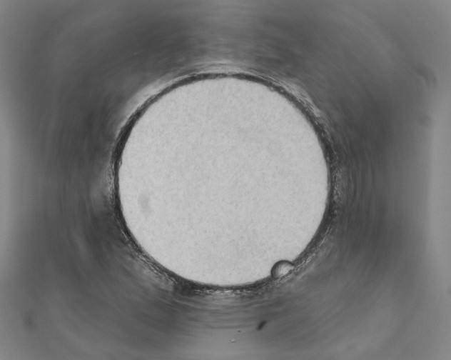 X0000111441167200908241137