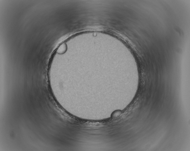 X0000111441168200908241137
