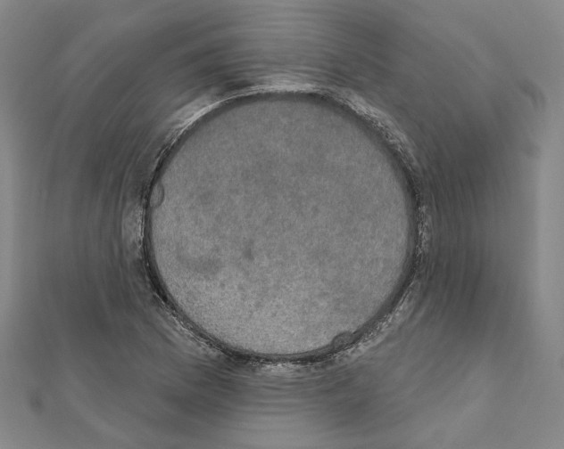 X0000111441169200908241137