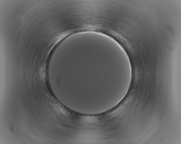 X0000111441170200908241137