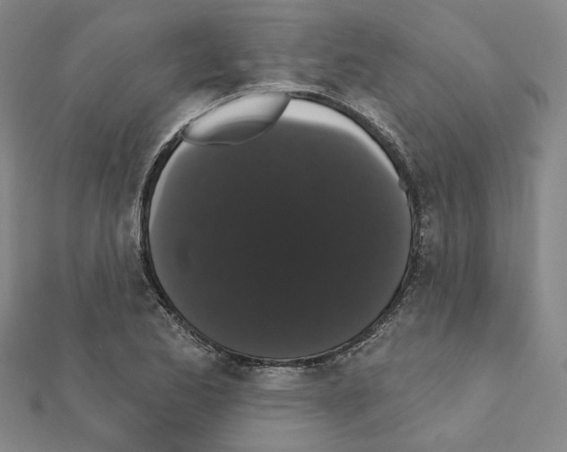 X0000111441173200908241137