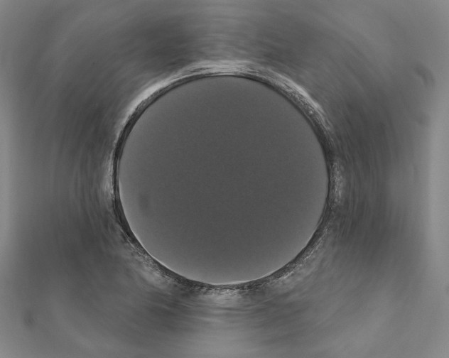 X0000111441174200908241137
